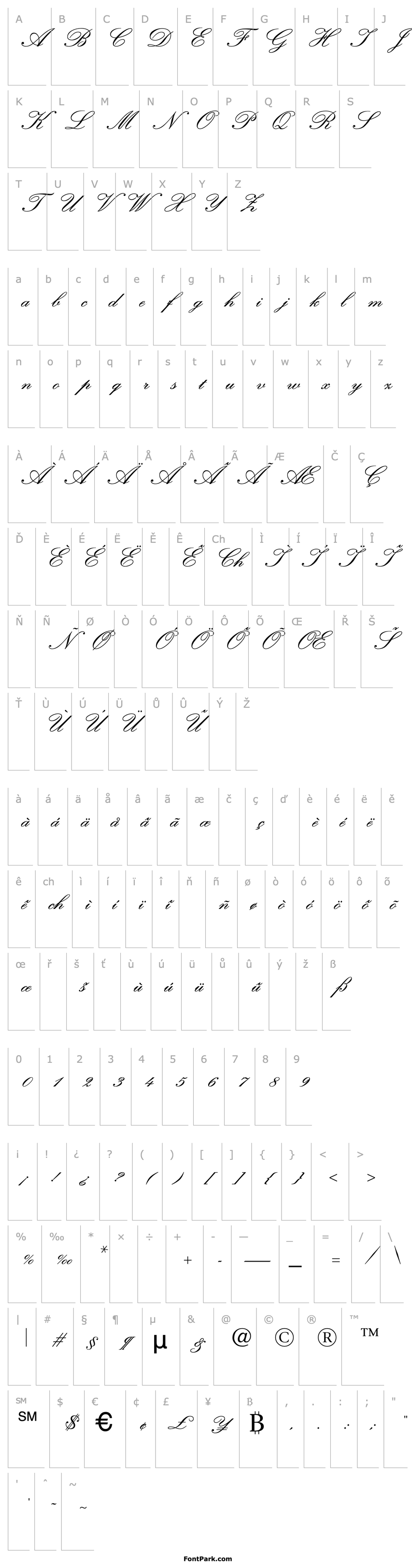 Overview WynnerockScript-TwoBold