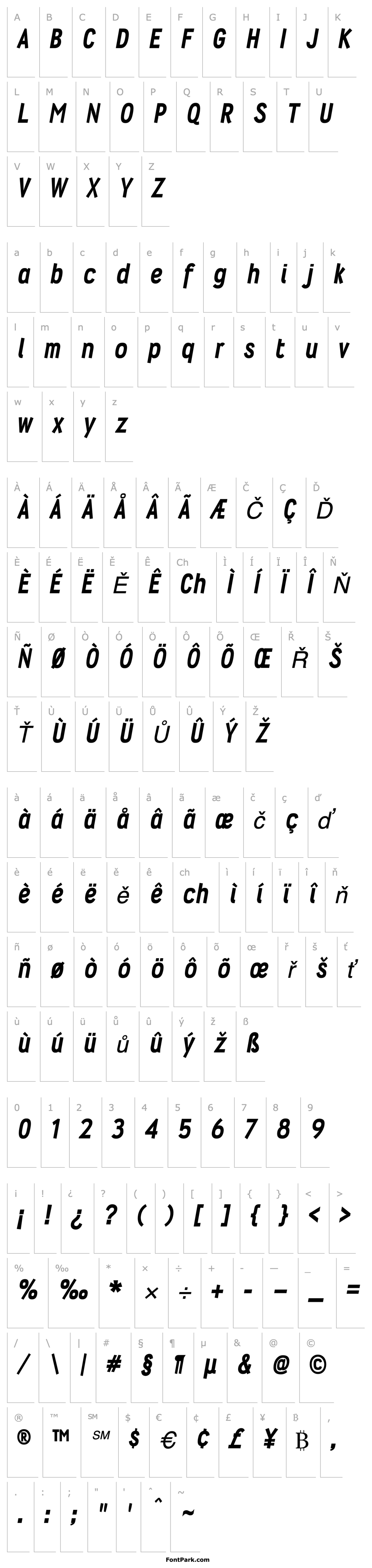 Overview Wyvern Hvy Italic