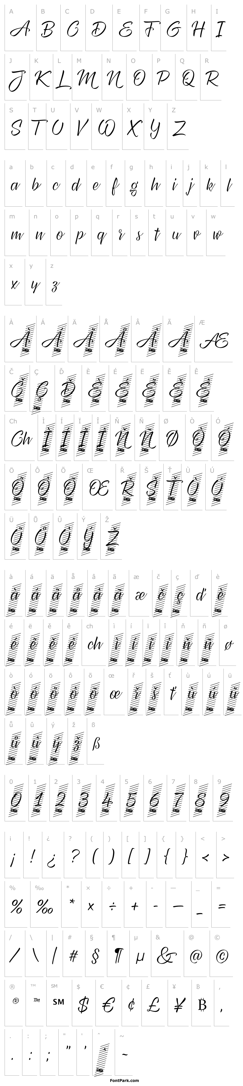 Overview XXII CoolScript - DEMO Light