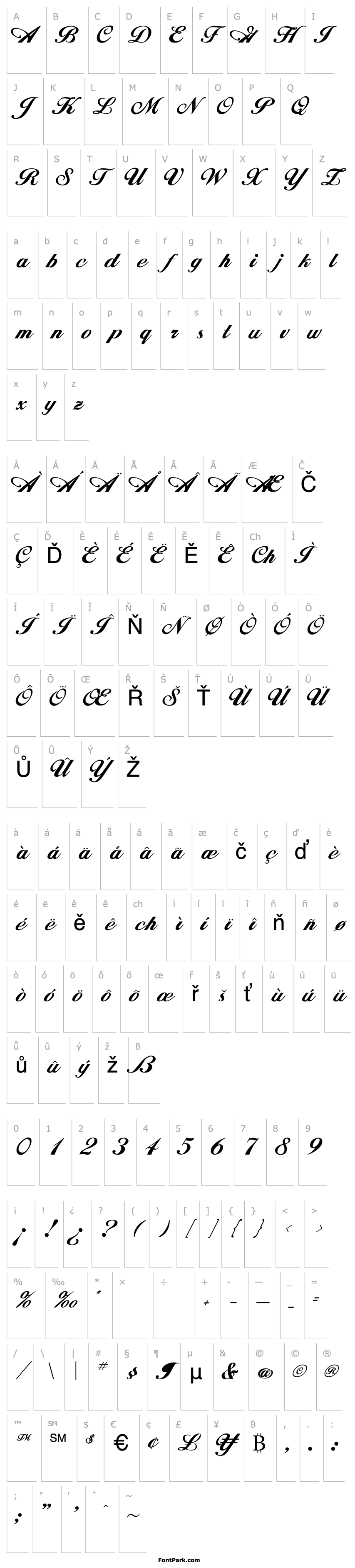 Overview Xylograph