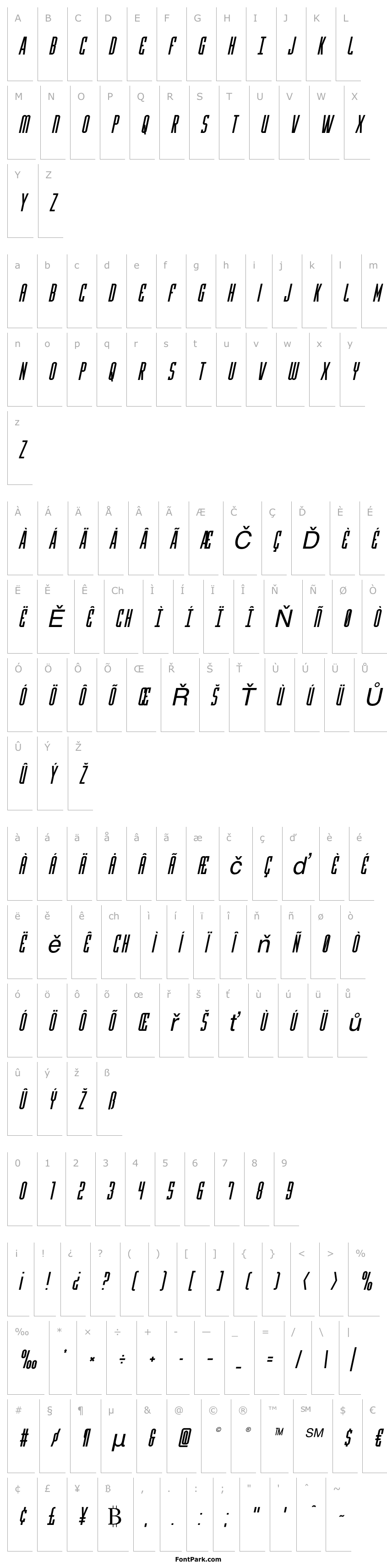 Overview Y-Files Italic