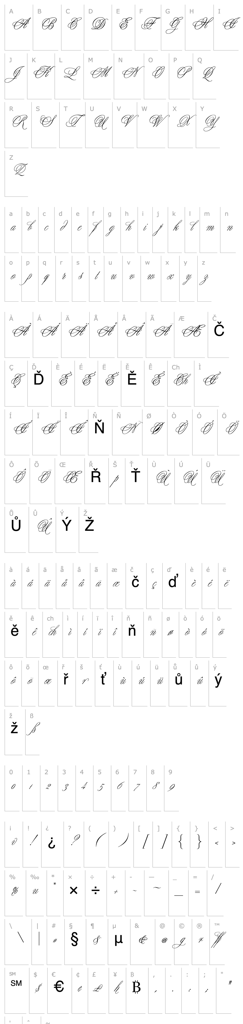 Přehled Yesterday-Regular