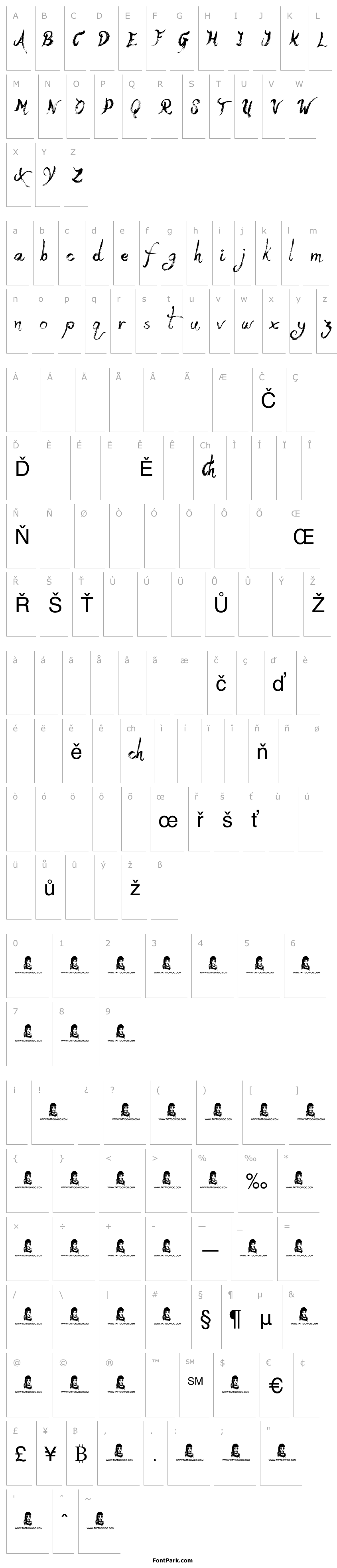 Overview Yeti Fety