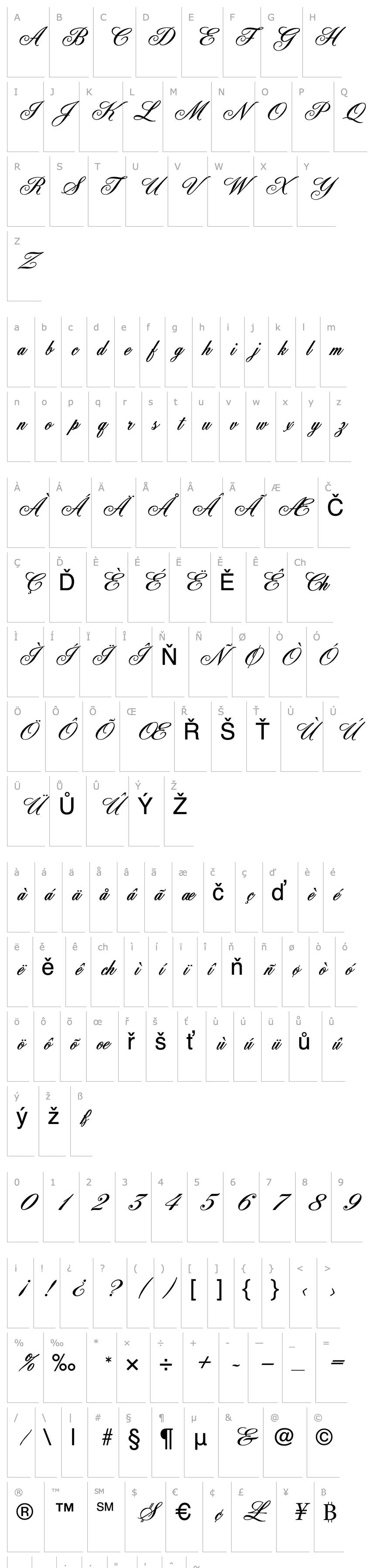 Overview York Script ES 