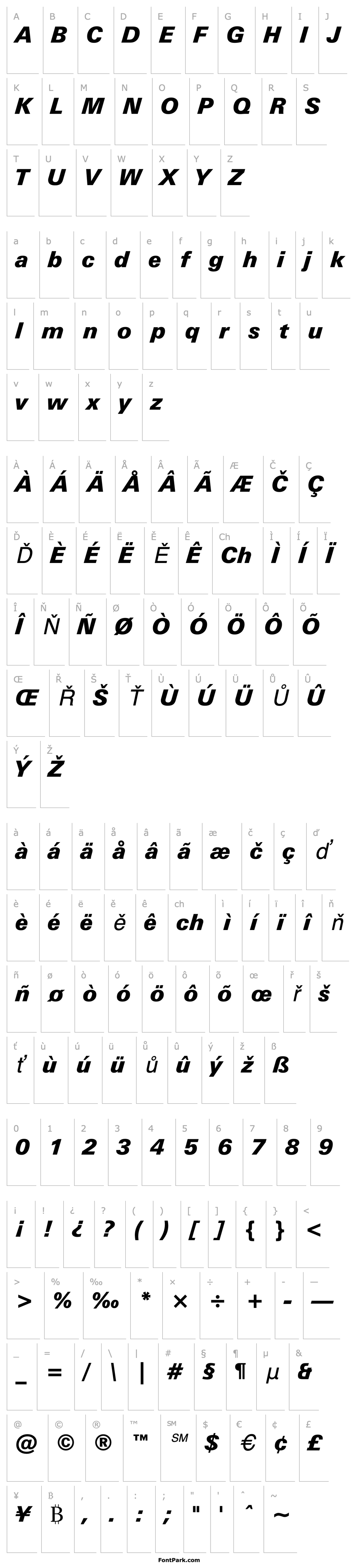 Overview Zurich Black Italic BT