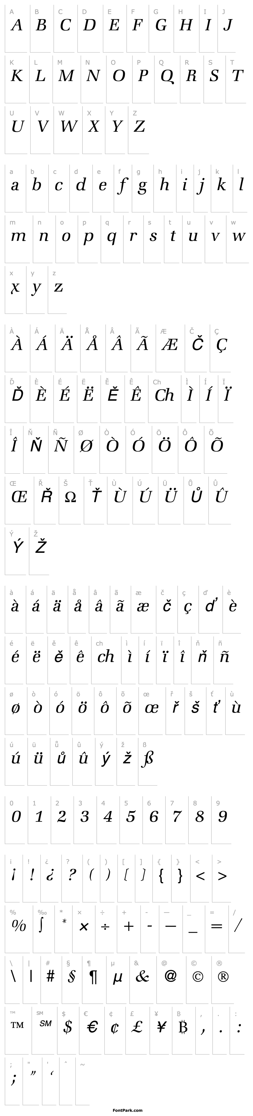 Overview ZabriskieBookLight-RegularItalic