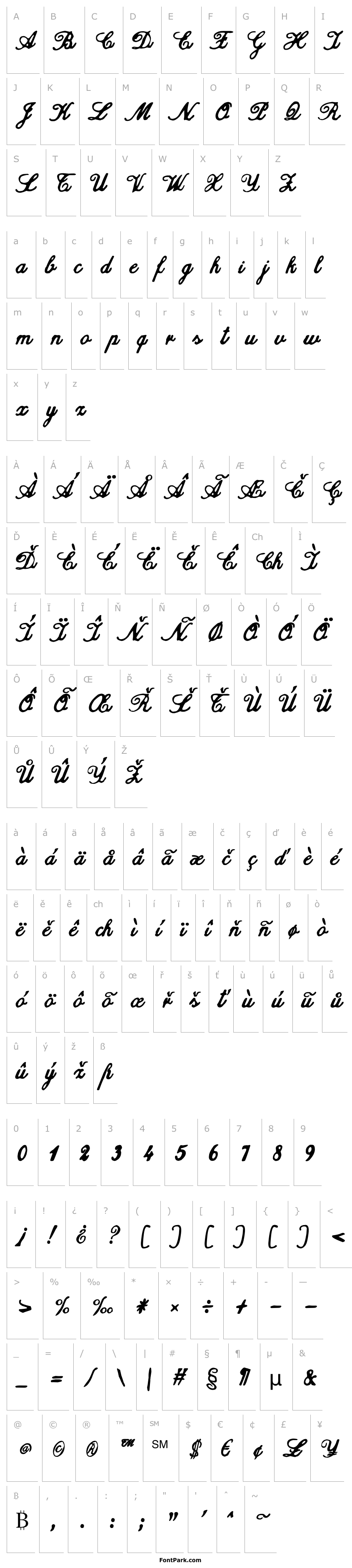 Přehled zai Calligraphy Script Handwritten