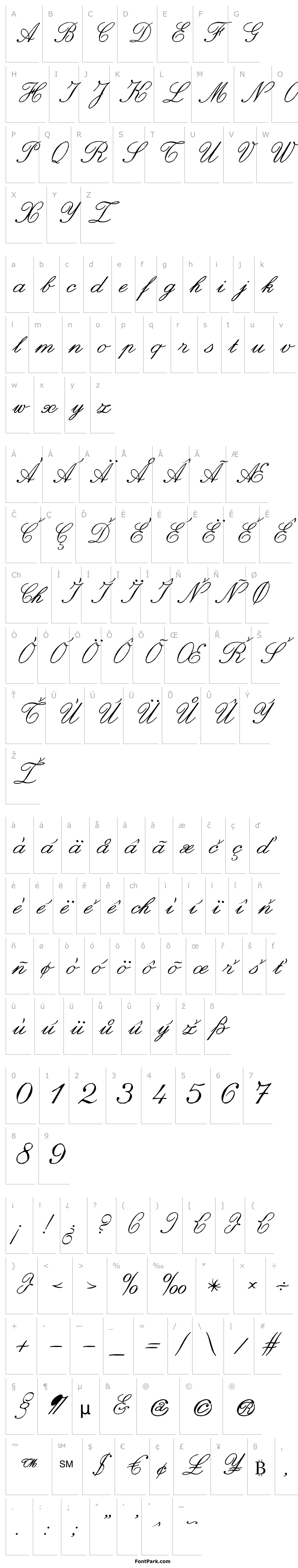 Přehled zai Italic Hand Calligraphy