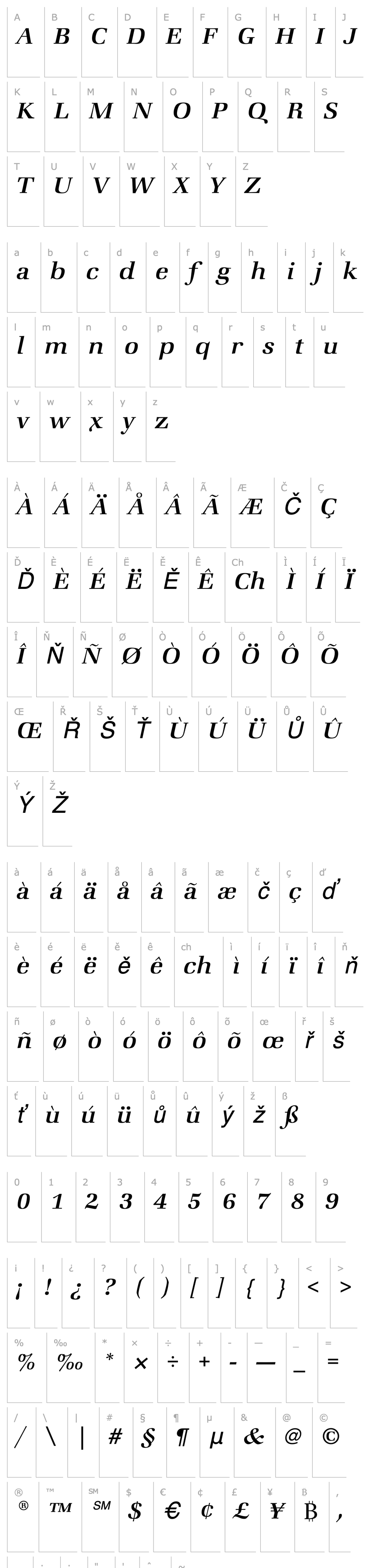 Přehled ZapfBookEF-MediumItalic