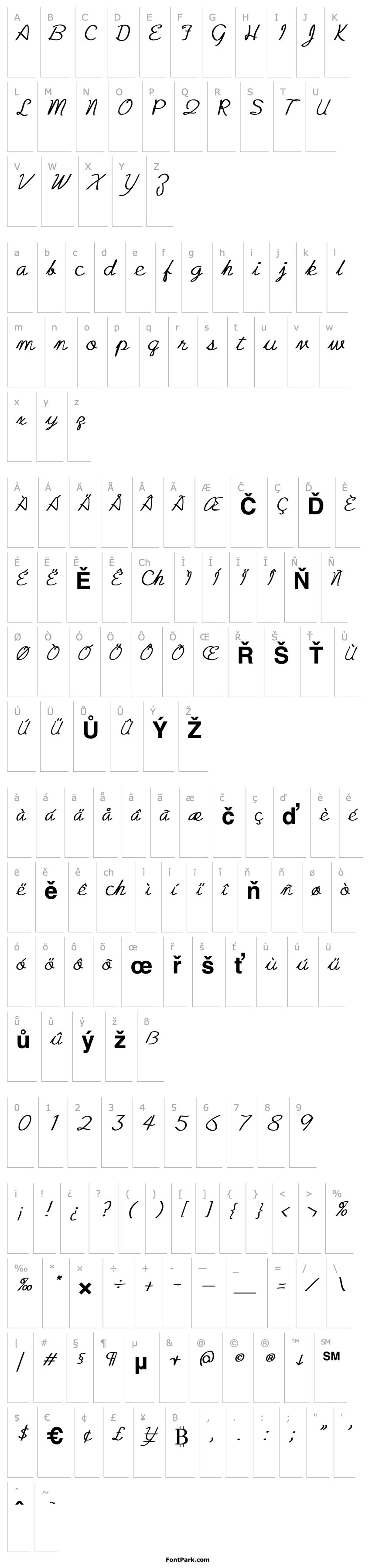 Overview Zcript Bold