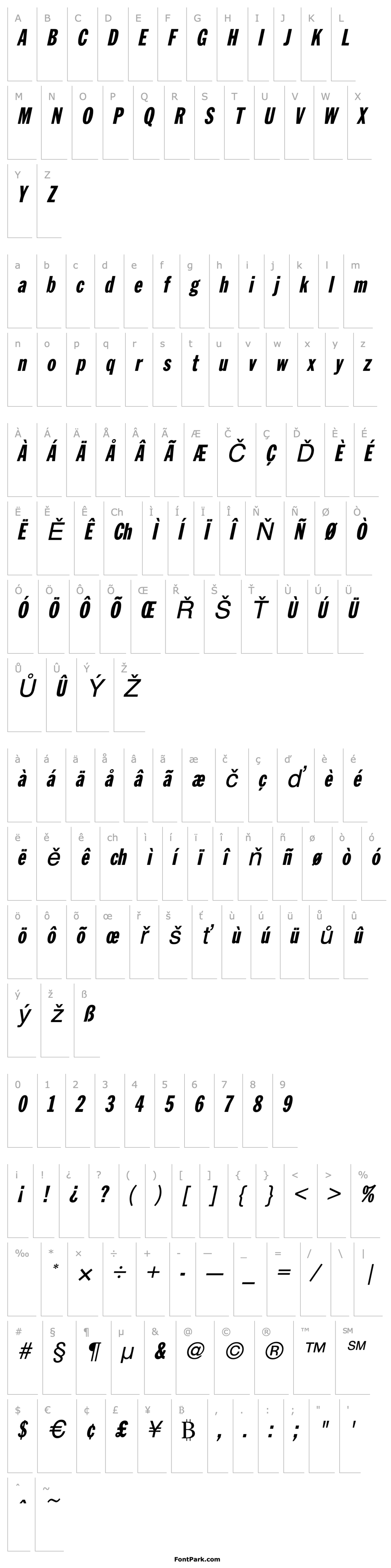 Přehled ZenherSSK Italic