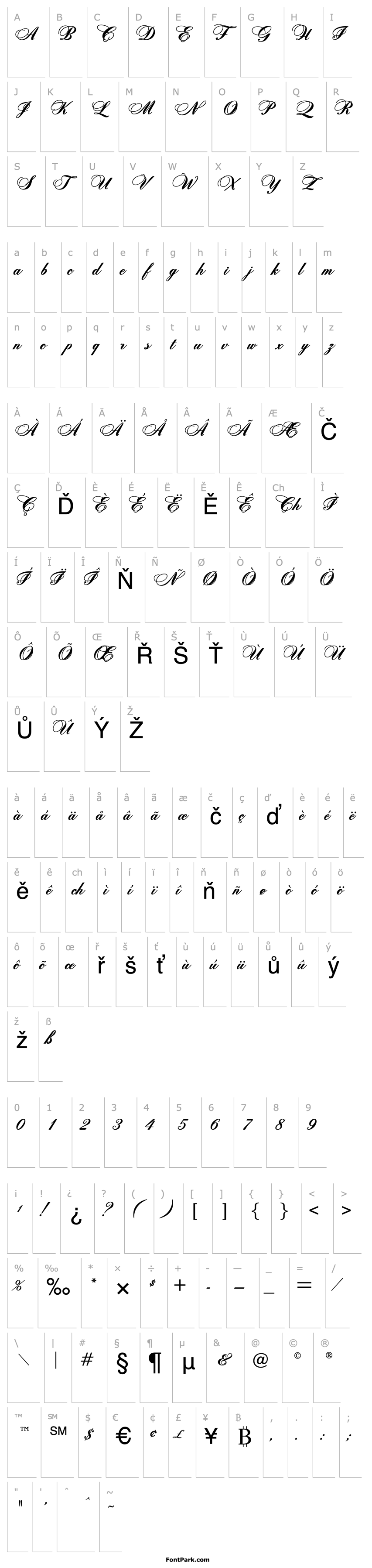 Overview Zenith Script ES