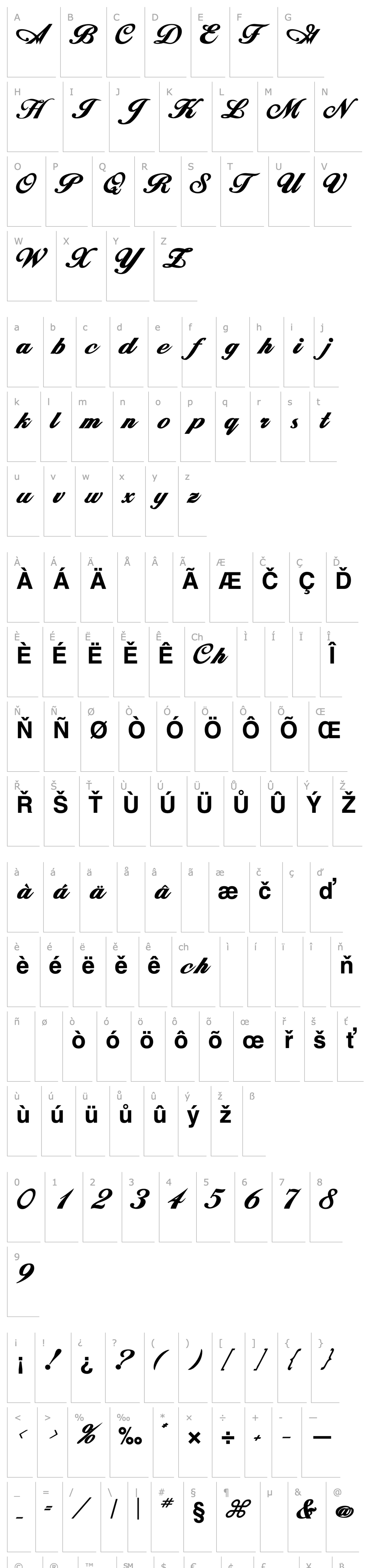 Overview Zimmerman Bold