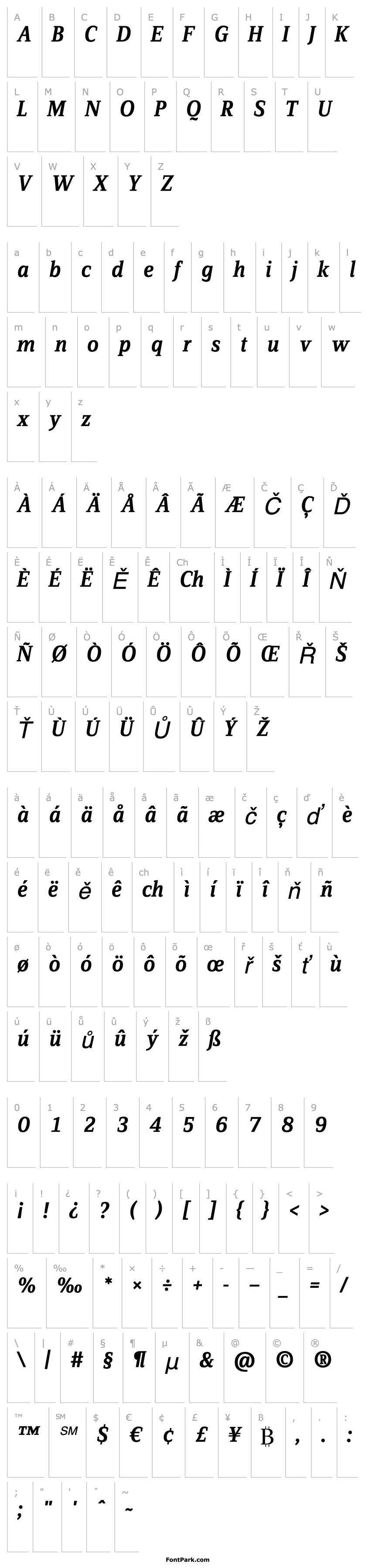 Overview ZineSerifDis-MediumItalicTf