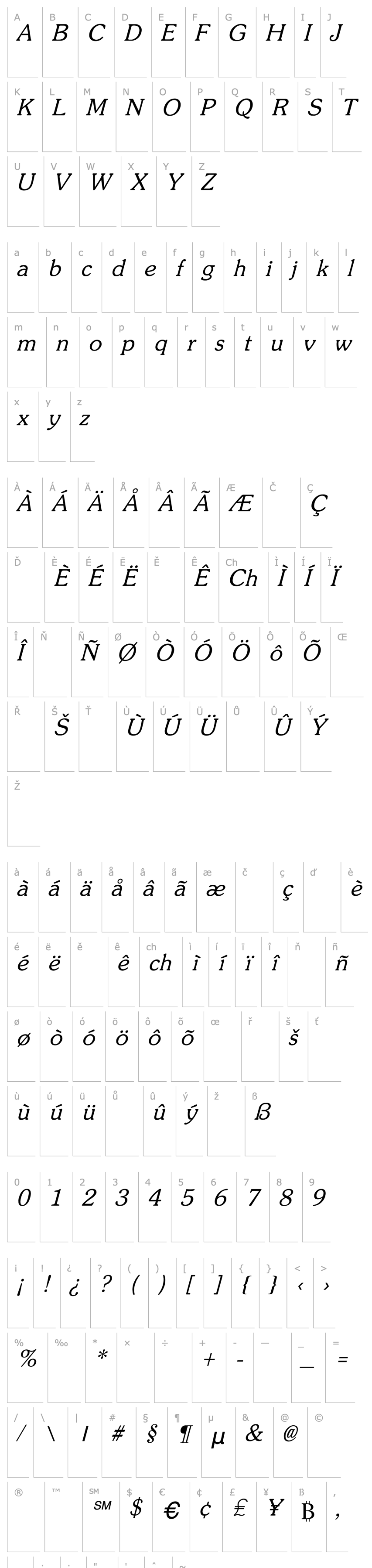 Overview Zipf Light Italic