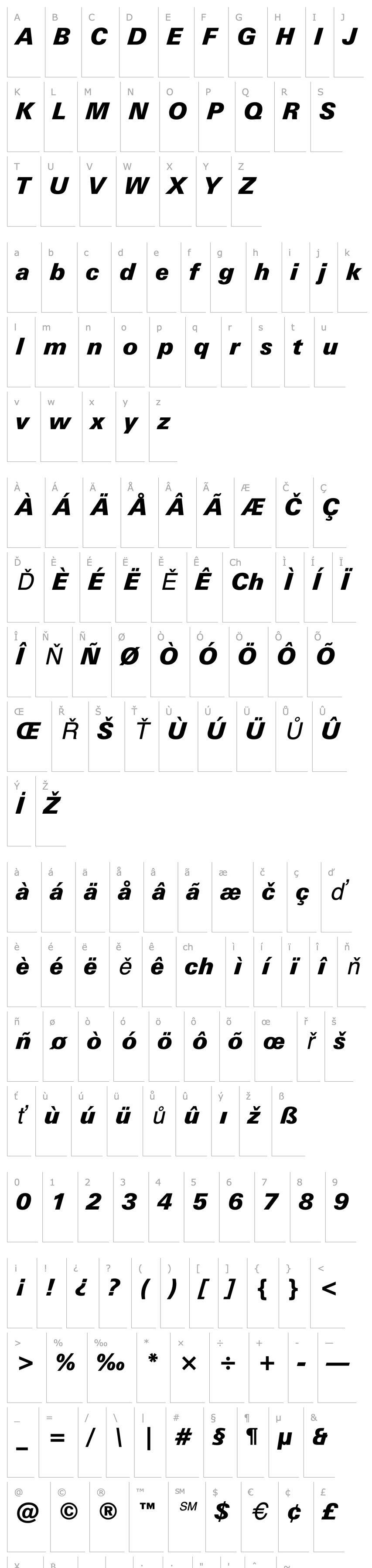 Overview Zurich  Black Italic BT