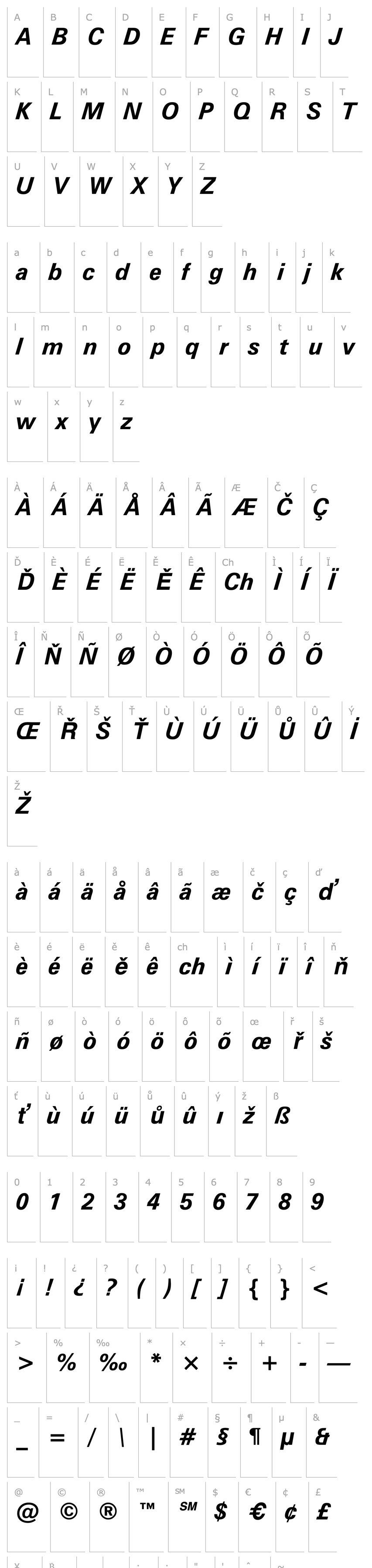 Overview Zurich  Bold Italic BT