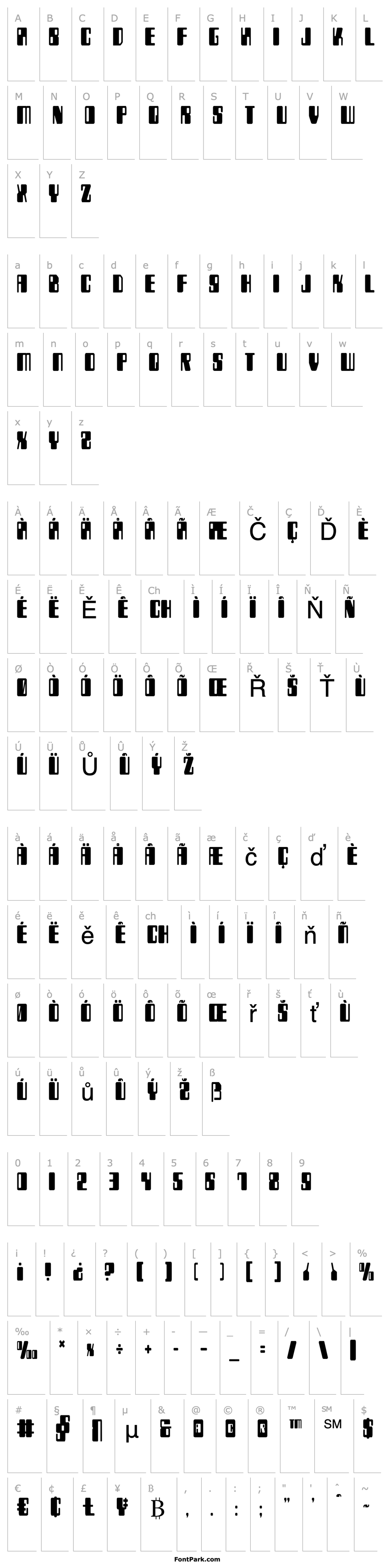 Overview Zyborgs Condensed